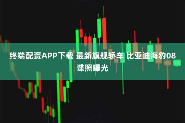 终端配资APP下载 最新旗舰轿车 比亚迪海豹08谍照曝光