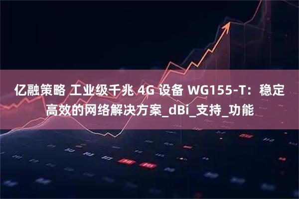 亿融策略 工业级千兆 4G 设备 WG155-T：稳定高效的网络解决方案_dBi_支持_功能