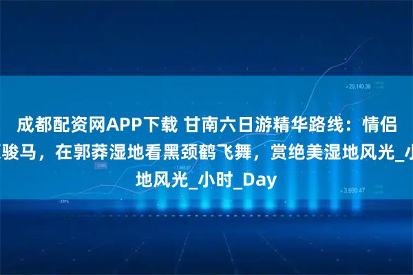成都配资网APP下载 甘南六日游精华路线：情侣共骑草原骏马，在郭莽湿地看黑颈鹤飞舞，赏绝美湿地风光_小时_Day