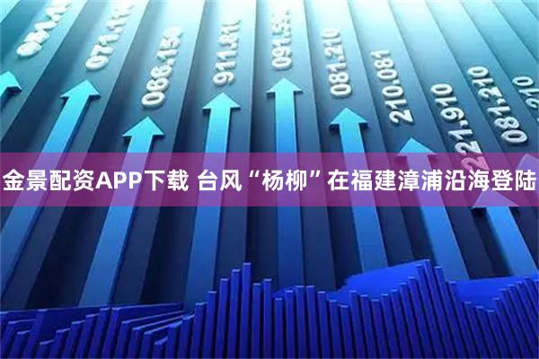 金景配资APP下载 台风“杨柳”在福建漳浦沿海登陆
