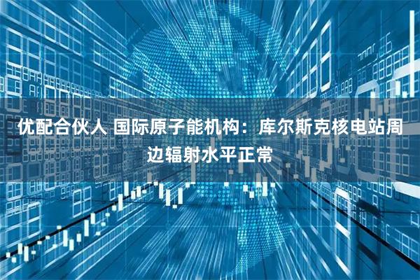 优配合伙人 国际原子能机构：库尔斯克核电站周边辐射水平正常