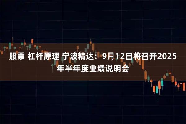 股票 杠杆原理 宁波精达：9月12日将召开2025年半年度业绩说明会