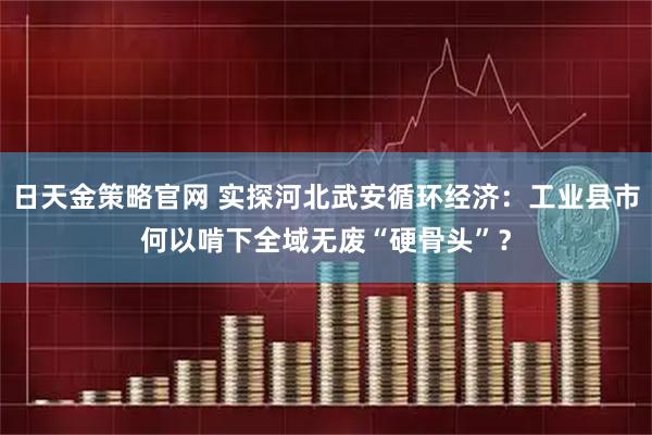 日天金策略官网 实探河北武安循环经济：工业县市何以啃下全域无废“硬骨头”？