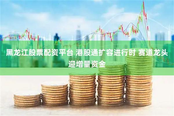 黑龙江股票配资平台 港股通扩容进行时 赛道龙头迎增量资金